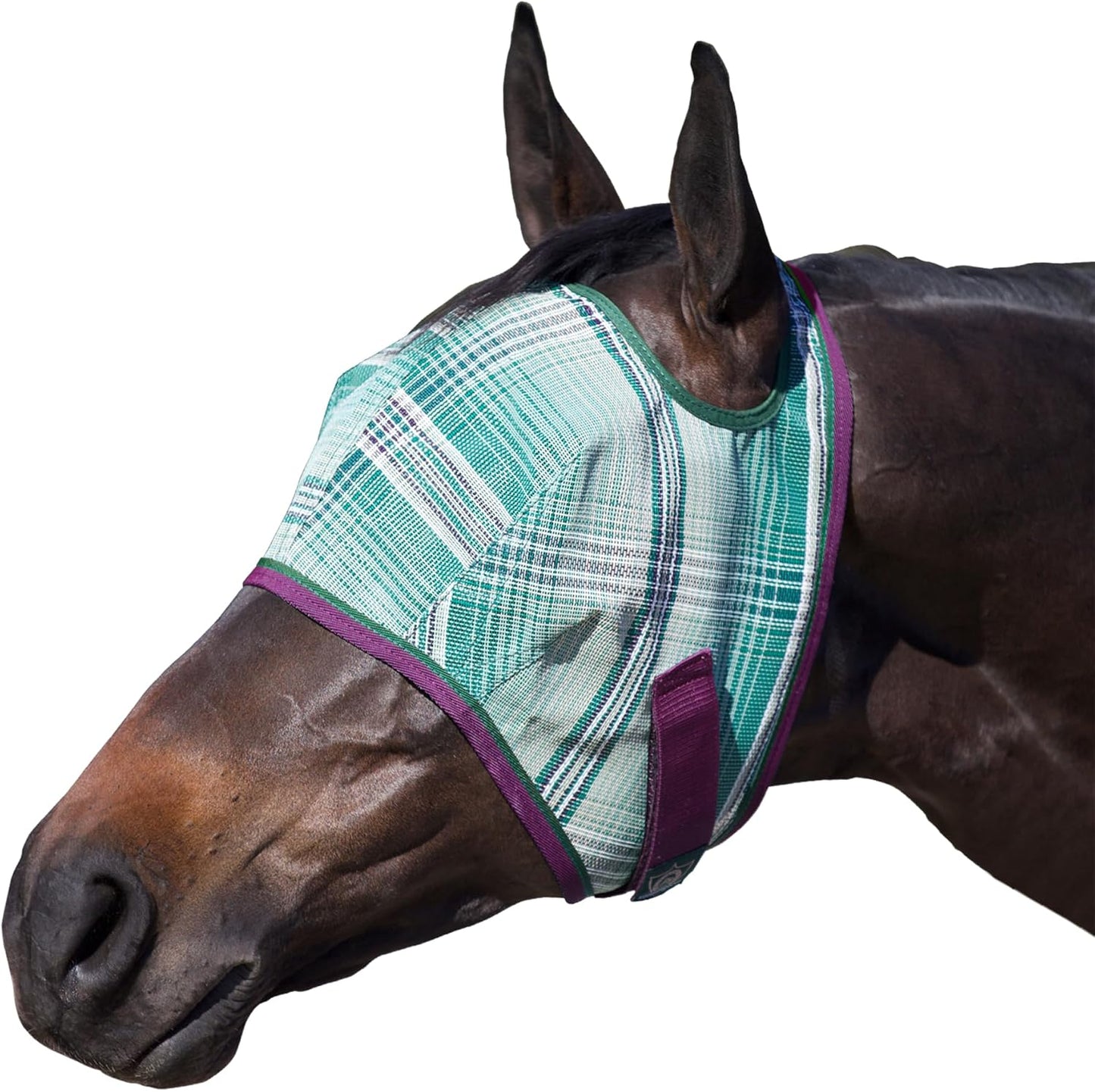 Kensington Fly Mask Web Trim — Protects Horses Face and Eyes from Bites and Sun Rays While Allowing Full Visibility
