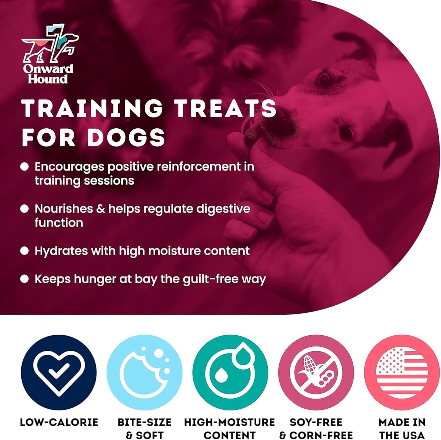 Onward Hound Training Treats for Dogs - Soft Bacon - Low Calorie Dog Training Treats for Sensitive Stomachs with Single Source Premium Protein, Corn Free, & Soy Free Formula - 10 oz