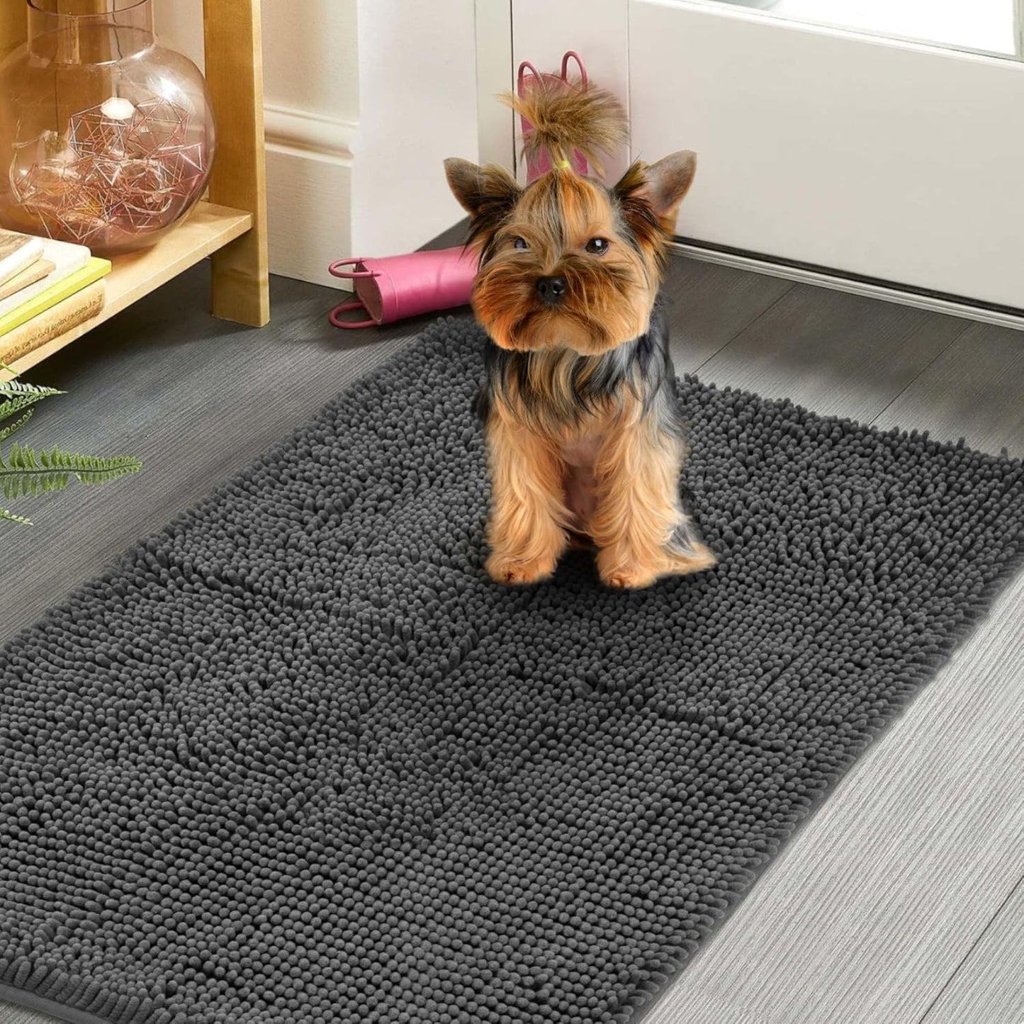 Dog Door Mat Indoor Entrance, 60" x 24" Absorbent & Quick-Drying Mud Rugs, Non-Slip Door Rugs for Entryway Indoor Washable, Soft Chenille Dog Mat for Muddy Paws