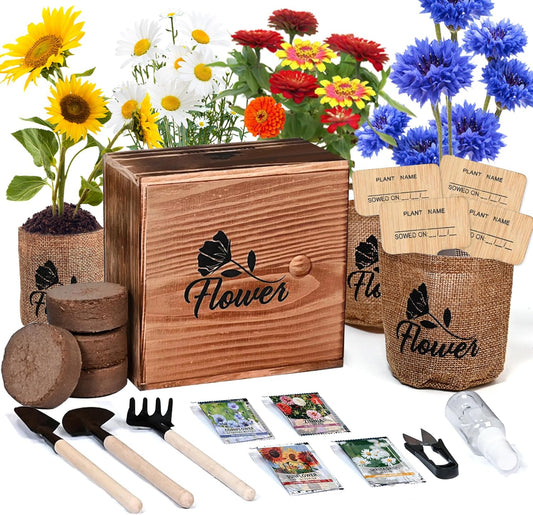 Indoor Daisy Garden Starter Kit, 4 Flower Seeds Growing into Shasta Daisy, Cornflower, Sunflower, Zinnia, Including Complete Gardening Tools, Christmas Gifts for Women Men & Beginners