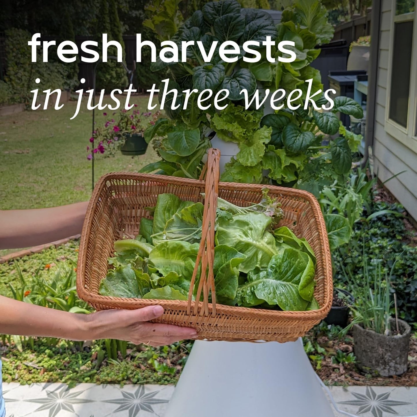 Farmstand Starter Kit + 30 Seedling Credits | Family Hydroponic Growing System Kit | Self-Watering Outdoor Vertical Garden Planter Tower | 5ft 5in | Made in USA