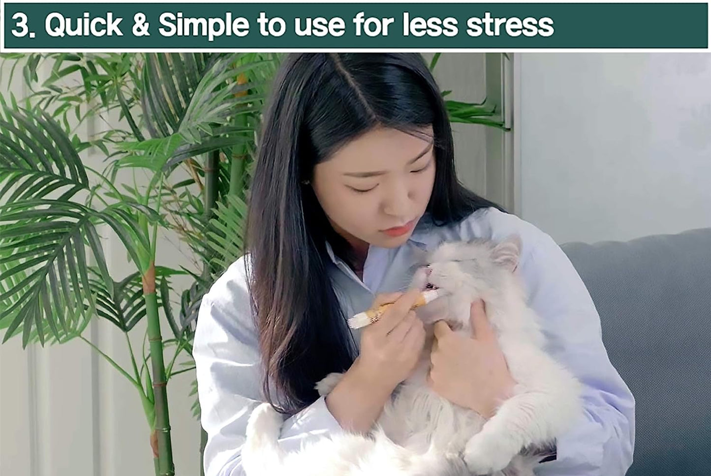 Cat Toothbrush & Toothpaste Kit – Flavor-Free Dental Gel for Cats – Finger Brush & Handle for Daily Oral Care – Plaque & Tartar Cleaning for Kittens and Adult Cats (1 Count, 1 Pack)