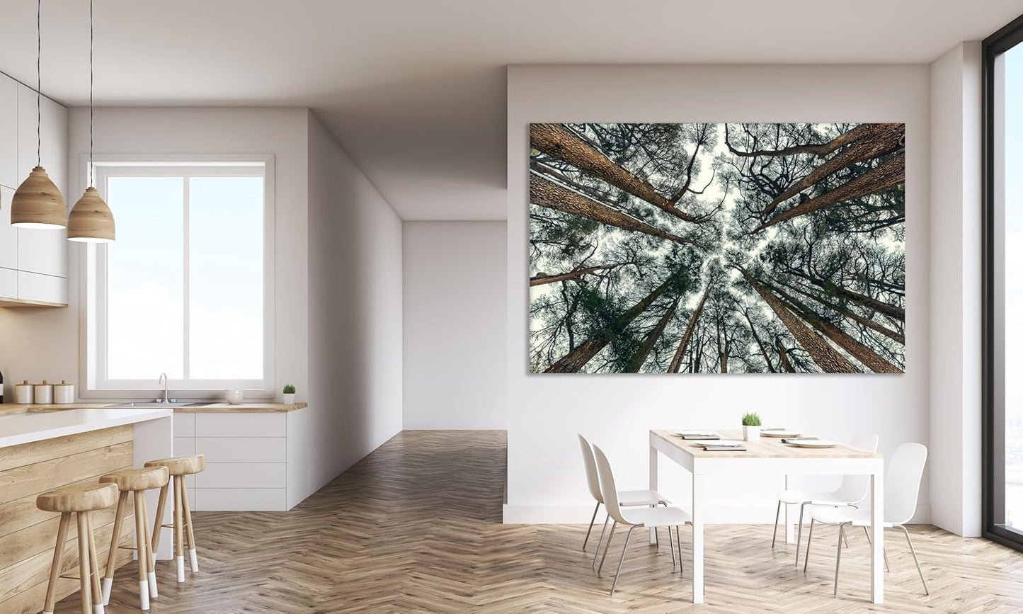 Nature Wall Art Prints - Ocean Forest Mountain Lake Canvas Landscapes - Small to Extra Large Living Room Bedroom Kitchen Bathroom Décor (Trees and Sky, 35L" x 53W")