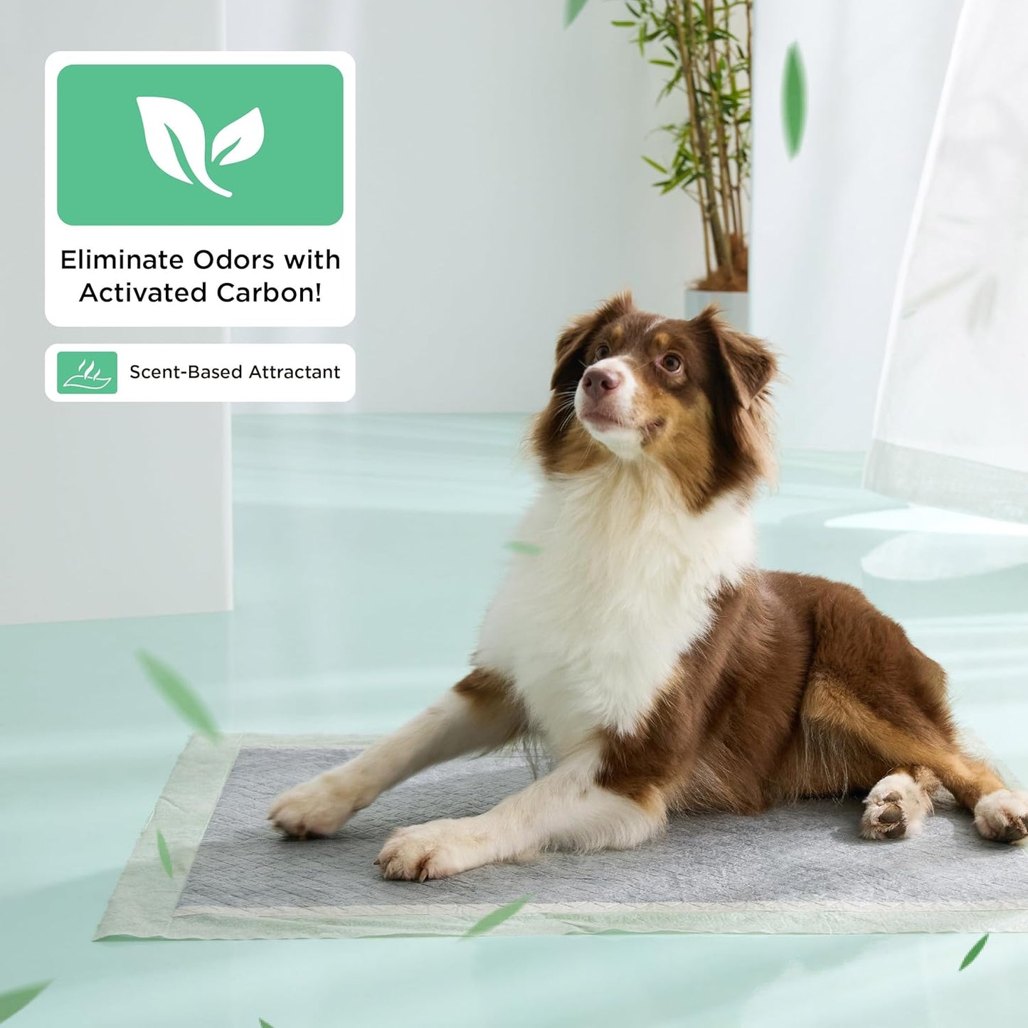 Bedsure Pee Pads for Dogs, 22" x 22" Puppy Pads 50 Count, Super Absorbent & Leak Proof, Small Dog Training Pads Quick Dry Thicken Pets Potty Pads Odor-Control Activated Carbon & ECO Green Material