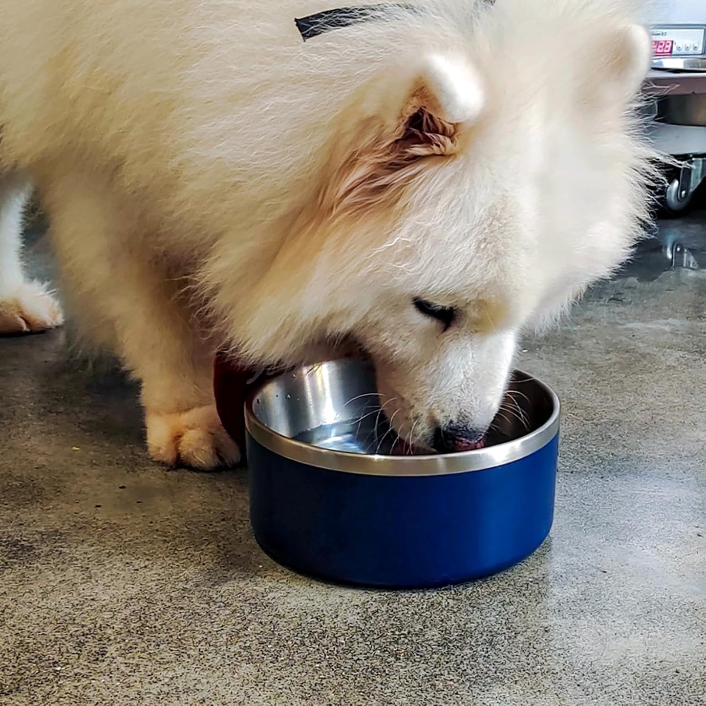 Stainless Steel Dog Bowl, Metal Water and Food Dish for Large Dogs, Insulated Non-Slip Pet Bowl, Easy Clean, 64oz, Blue
