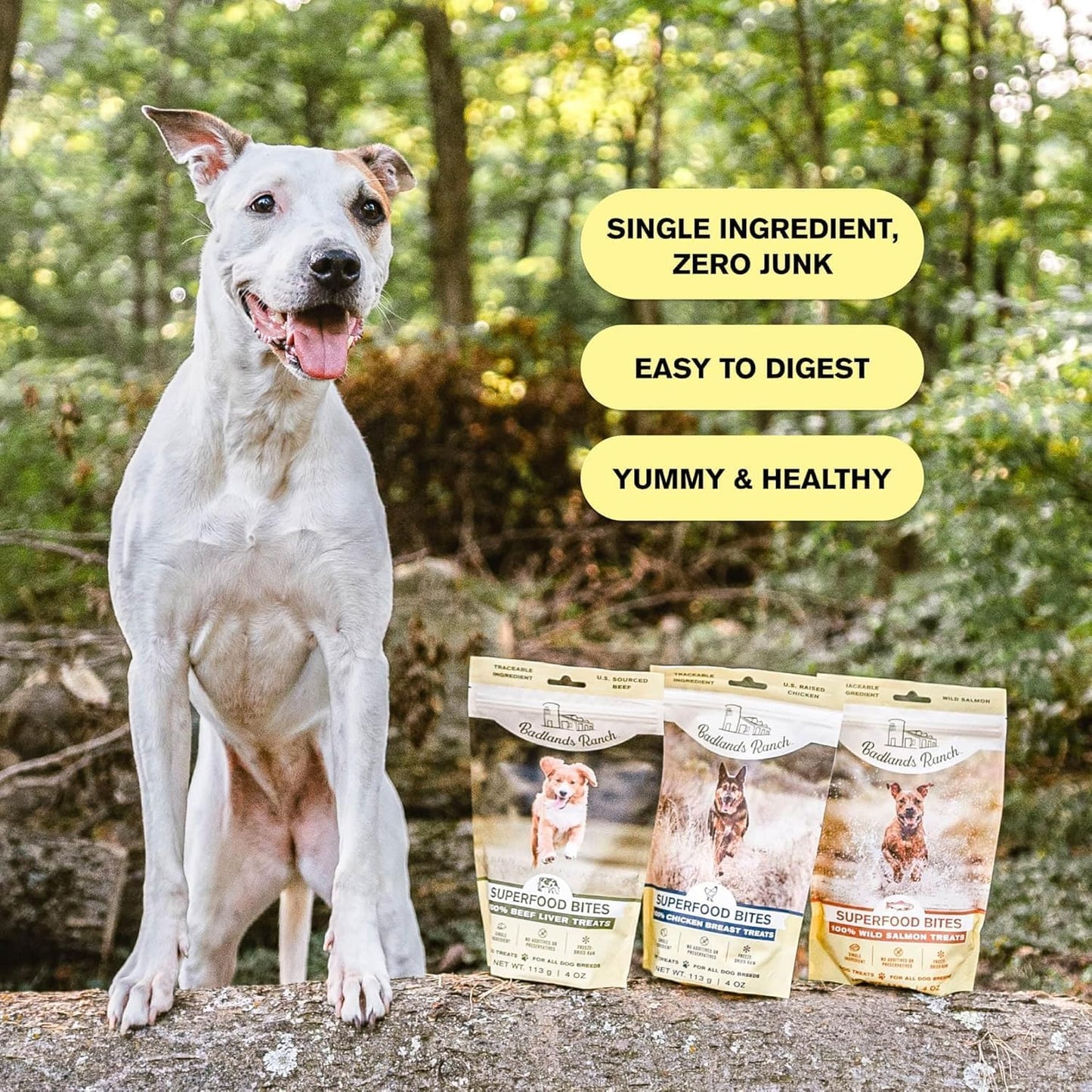 BADLANDS RANCH - Superfood Bite, Freeze-Dried Raw Dog Treats - Protein Rich, Train & Reward, Traceable Single Ingredient by Katherine Heigl (4 Ounce (Pack of 4) Beef Liver)