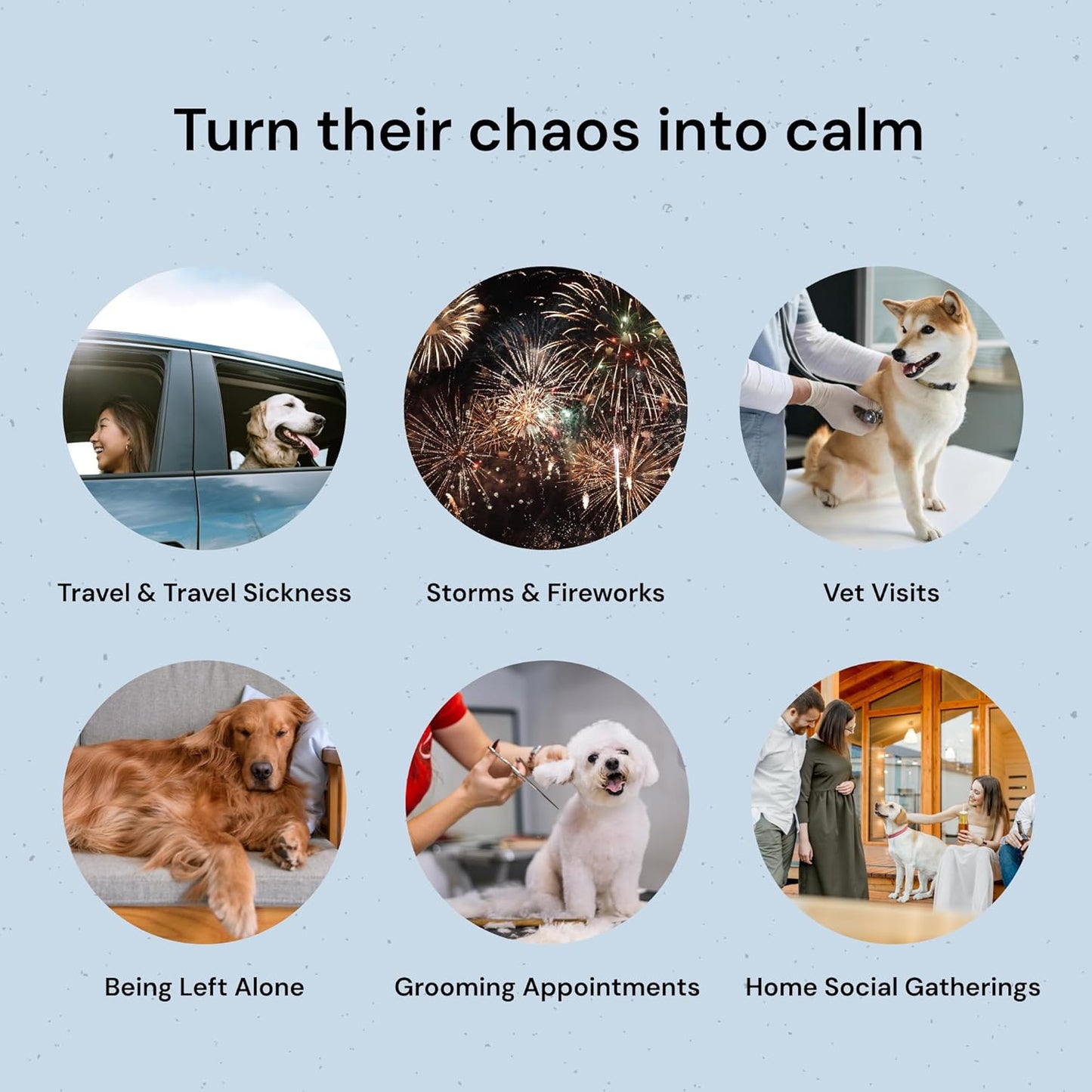 MalsiPree Calming Chews for Dogs - 145 pcs Chicken - Helps Regulate Mood - Relief Treats - No Sedative Effect - Freeze Dried - with Passion Flower & Melatonin