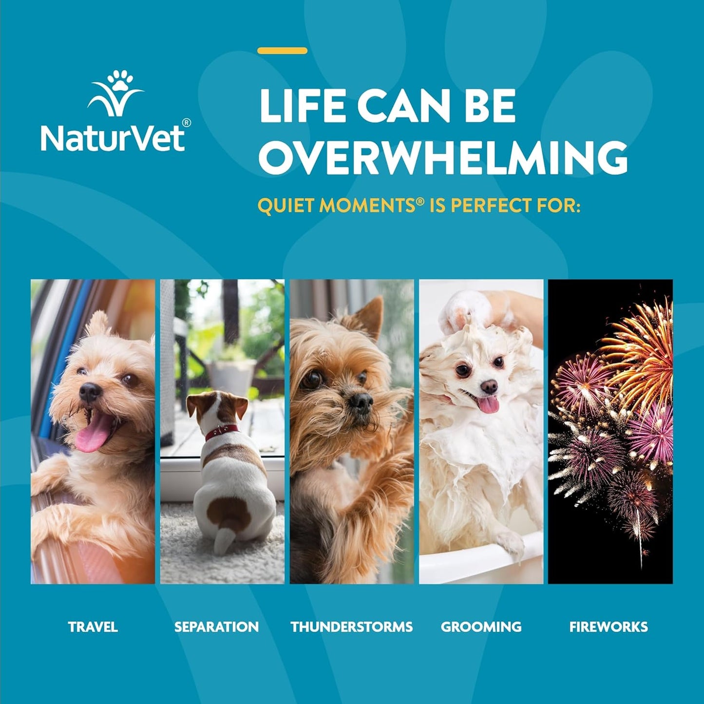 NaturVet Quiet Moments Calming Dog Supplement, Dog Soft Chews with Melatonin to Help Reduce Stress from Storms, the Vet, Fireworks, and Travel, Bacon and Chicken Flavored Pet Supplement, 240 Count Jar