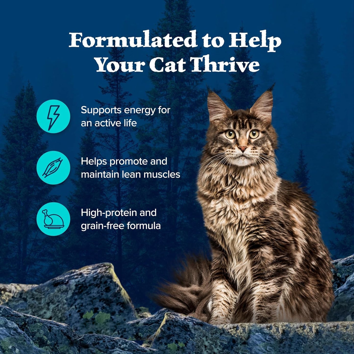 Blue Buffalo Wilderness Wild Delights Meaty Morsels Wet Cat Food, High-Protein & Grain-Free, Made with Natural Ingredients, Chicken & Trout Recipe in Tasty Gravy, 3-oz. Cans (24 Count)