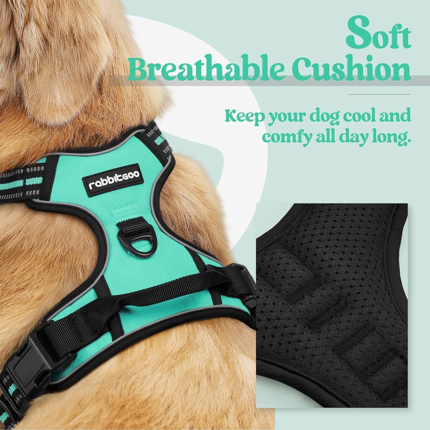 rabbitgoo Dog Harness No Pull with 2 Leash Clips, Adjustable Soft Padded, Reflective Oxford No Choke Pet Vest with Easy Control Handle for Large Dogs, Turquoise, XL