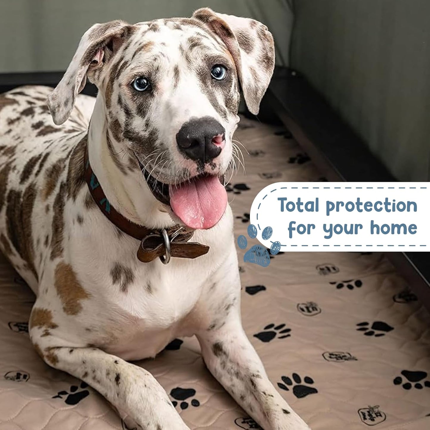 EZwhelp Reusable Dog Pee Pads, Washable Waterproof Mats for Potty Training or Whelping Pads, Puppy Pad with Rounded Corners, 20x25 Inch, 2 Pack