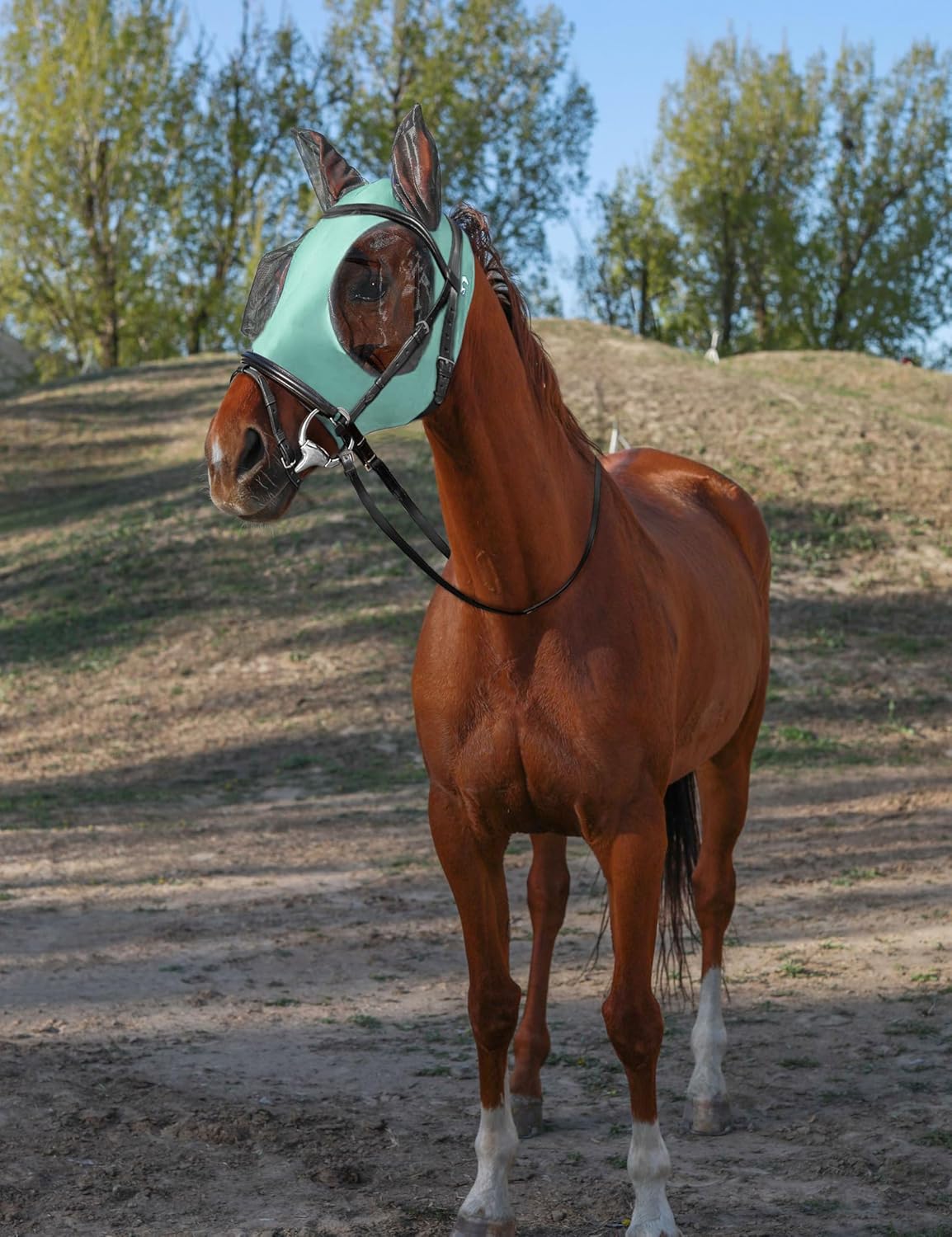 Horse Fly Mask with Ears, UV Protection for Horses, Elasticity with Big Mesh Eye Covers, Snug Fitting Comfortable Breathable Lightweight for Horses Gentle Mint Cob