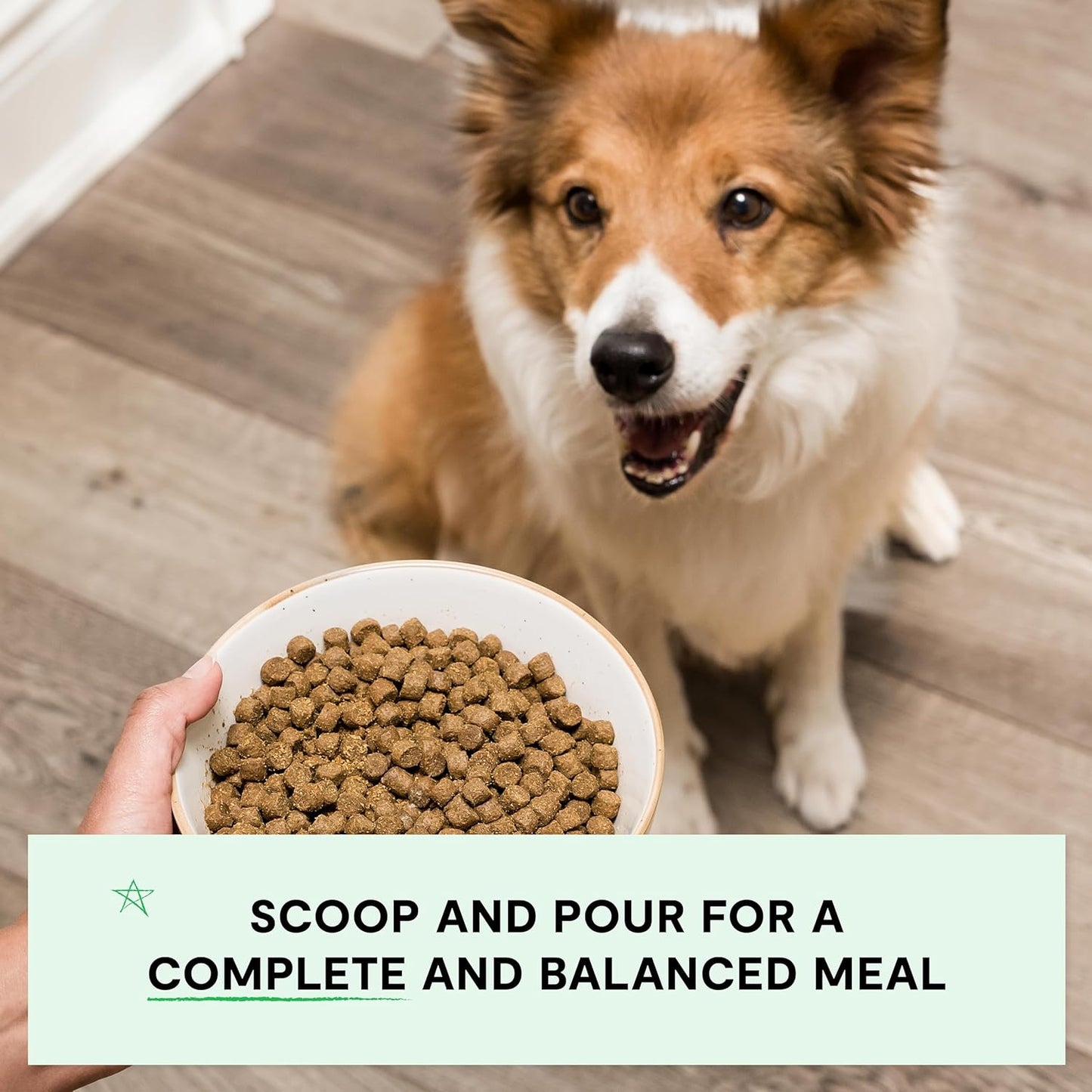Open Farm, Grain-Free Dry Dog Food, Complete & Balanced Kibble, Sustainably & Ethically Sourced Ingredients, Non-GMO Veggies & Superfoods Support Overall Health, New Zealand Venison Recipe, 22lb Bag