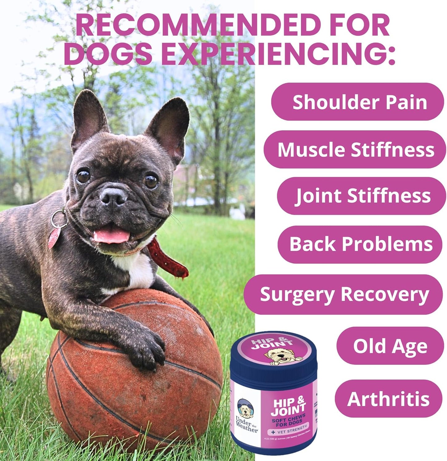 Under the Weather Pet Hip & Joint Chews for Dogs | Vet Formulated Dog Joint and Hip Supplement | Daily Chews with Chondroitin & MSM for Mobility & Flexibility Support | 60 Count