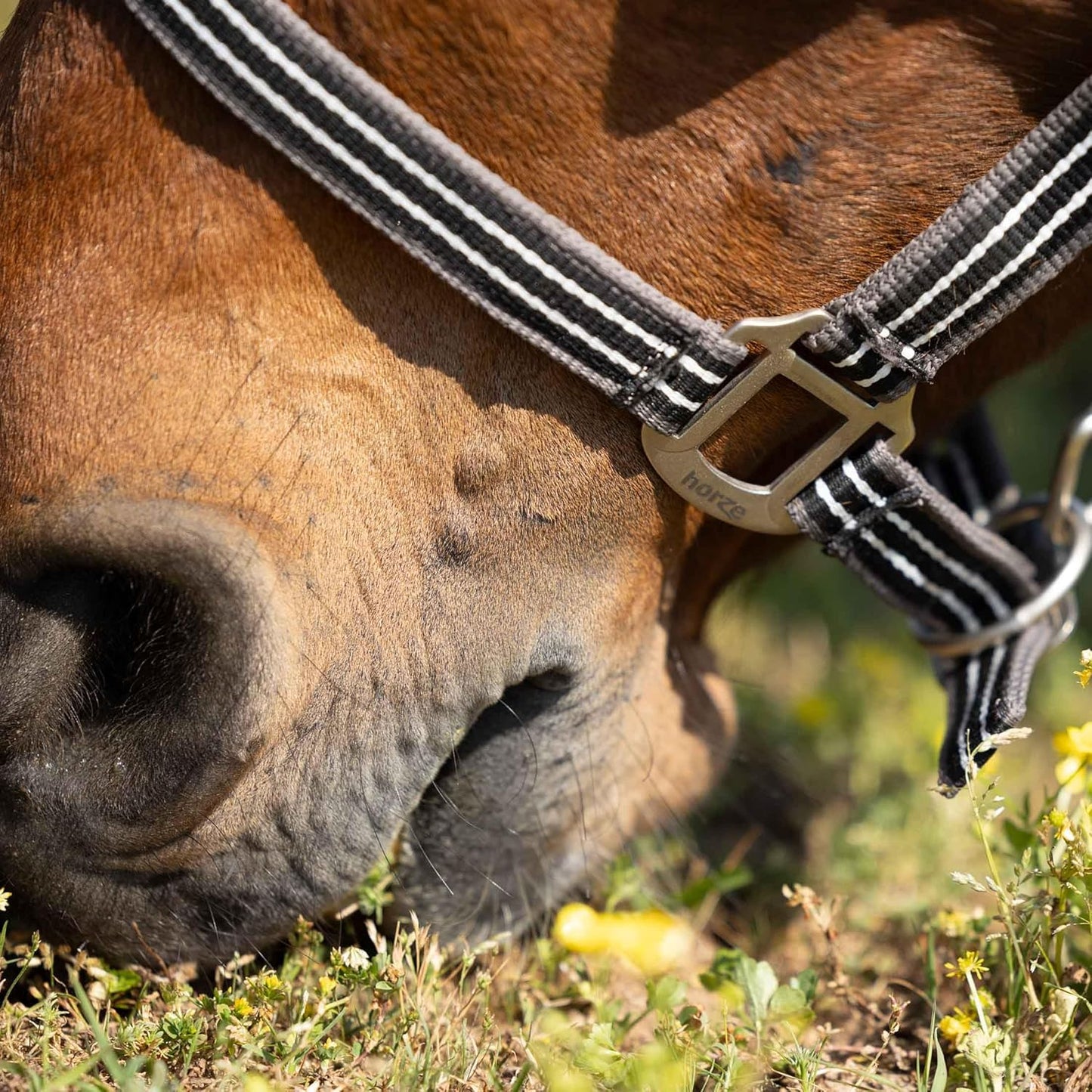 HORZE Adepto Adjustable Horse Halter | Soft, Durable Polyester - Dark Navy - Horse
