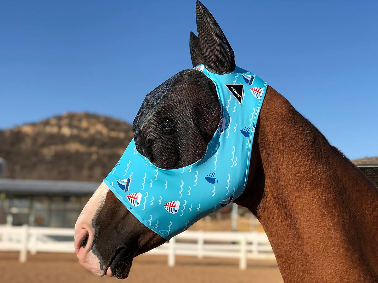 Horse Fly Mask Super Comfort Horse Fly Mask Elasticity Fly Mask with Ears We Only Make Products That Horses Like… (Sky Blue, M)