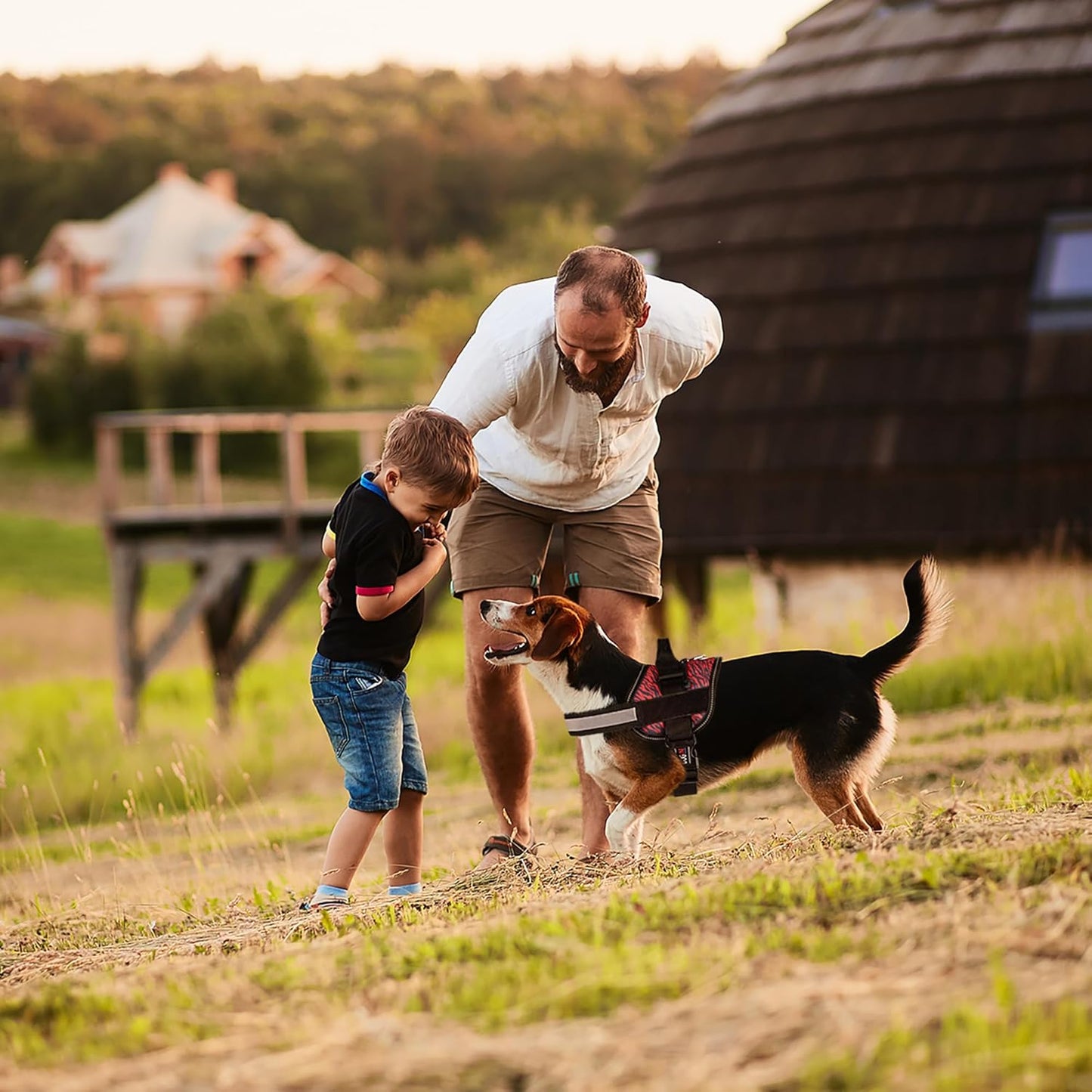 Dogline Dog Harness, Reflective No-Pull Adjustable Vest with Handle for Walking, Training, Breathable, No - Choke Harness for Small, Medium or Large Dogs Room for Patches Zebra Black/Red M 22"-28"