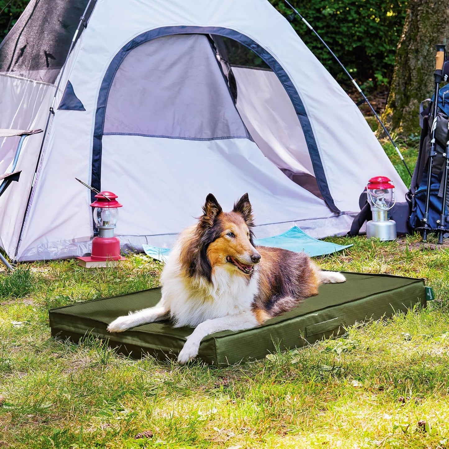 FurHaven Cooling Dog Bed – XL Foam Mattress for Joint Pain Relief, Waterproof Liner, Removable Washable Cover, Durable for Outdoor Use, Deluxe Grid Indoor/Outdoor Bed – Green, Jumbo