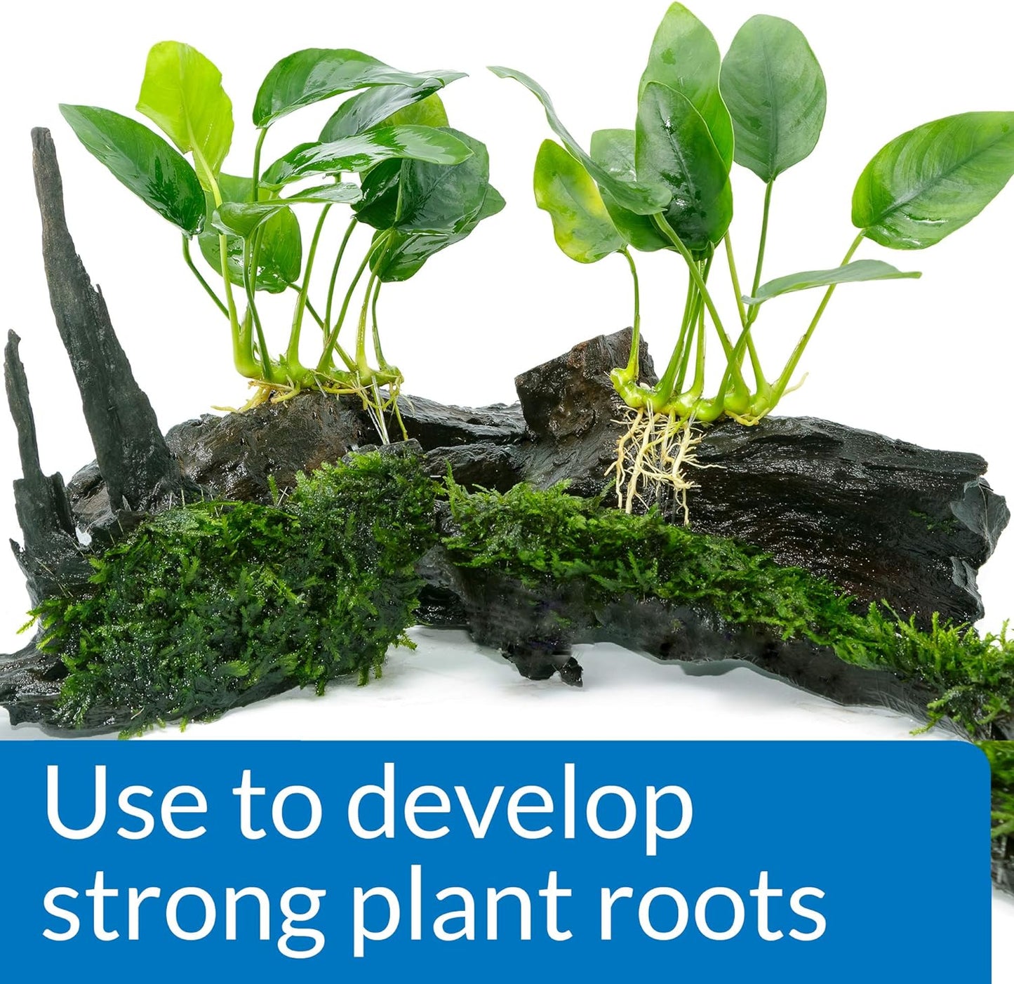 API ROOT TABS Freshwater Aquarium Plant Fertilizer 0.4-Ounce 10-Count Box