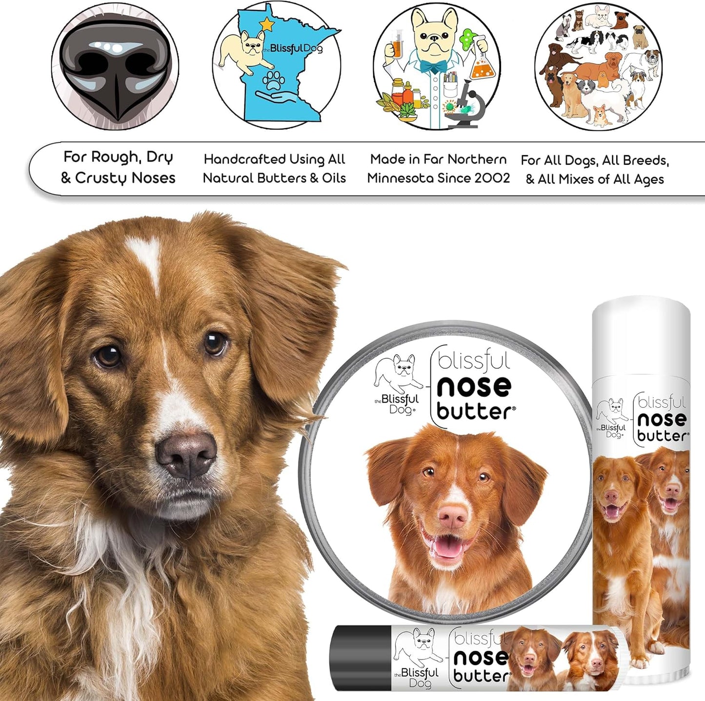 The Blissful Dog Nova Scotia Duck Tolling Retriever Unscented Nose Butter - Dog Nose Butter, 16 Ounce