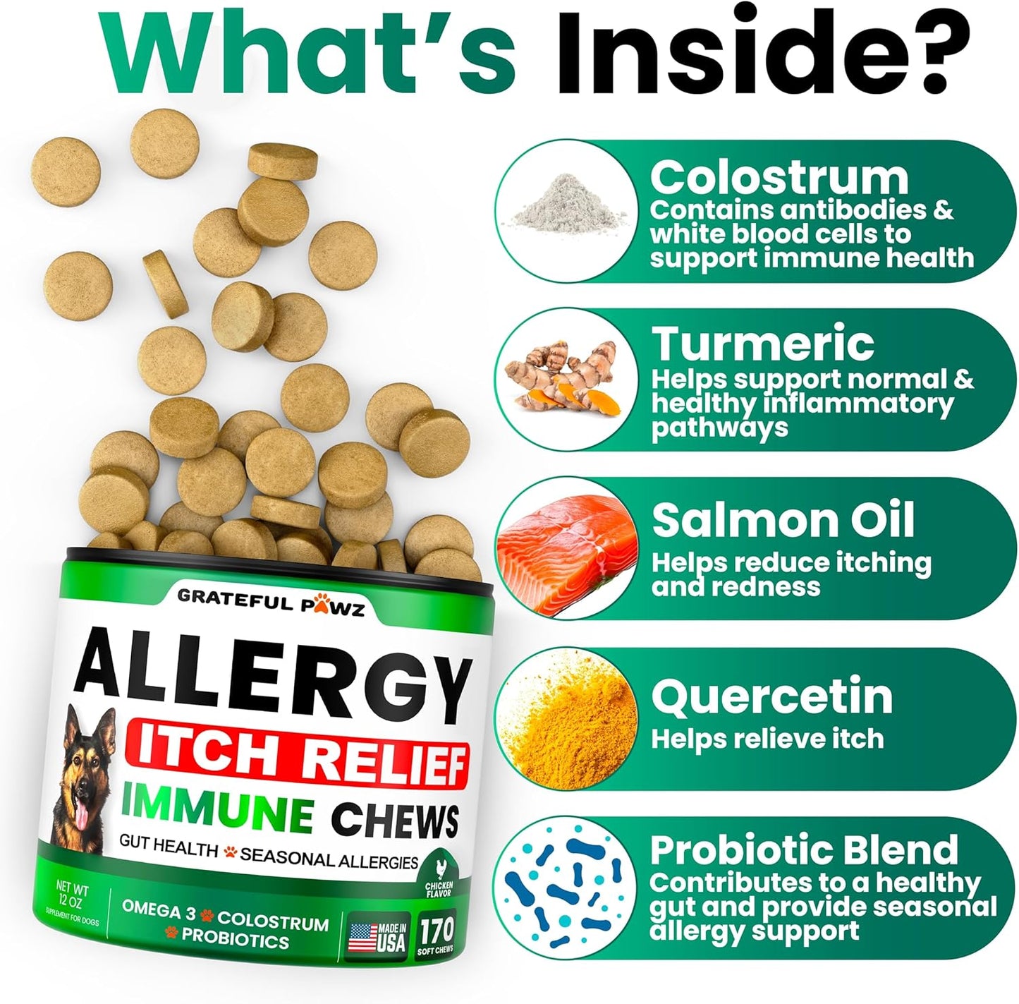 Dog Allergy Relief Chews - Dog Itching Skin Relief Treatment - 170 Chews - Anti-Itch, Hot Spots, Paw Licking - Immune Health - Omega 3 Fish Oil - Dry Itchy Skin and Coat Supplement - Made in USA