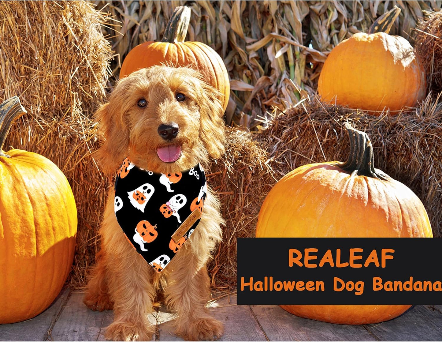 Realeaf Halloween Dog Bandanas 2 Pack, Reversible Orange Pumpkin Pet Scarf for Boy and Girl, Premium Durable Fabric, Holiday Bandana for Small Medium Large and Extra Large Dogs (X-Large)