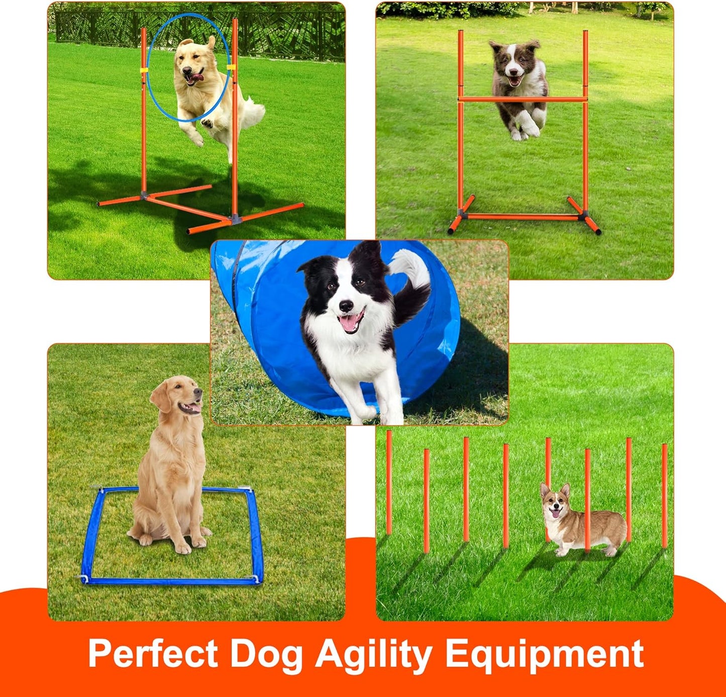 Dog Agility Training Equipment, Obstacle Agility Training Starter Kit for Doggie, Including Tunnel, 27 Weave Poles, Adjustable Hurdle, Jump Ring, Pause Box and Carrying Bag(Blue,L)