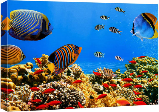 wall26 Canvas Print Wall Art Tropical Island Underwater Fish Red Anemone Nature Animals Photography Realism Rustic Scenic Landscape Wilderness Colorful for Living Room, Bedroom, Office - 12"x18"