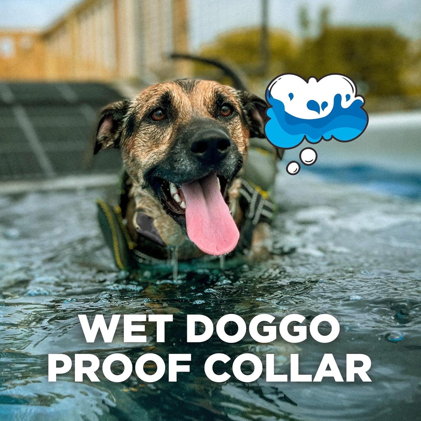 Dogtra CUE Gen 2 Grey – Customizable E-Collar for Dogs Training Collar with Remote – Easy, Safe, Beginner-Friendly Design – 99 Levels, Vibration, Boost, Waterproof, Rechargeable, 400-Yard Range