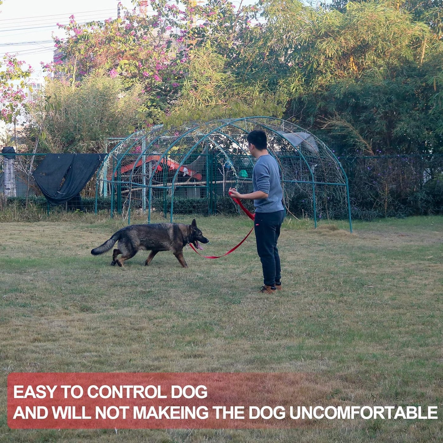 Dog/Puppy Obedience Recall Training Agility Lead - 15ft 20ft 30ft 40ft 50ft Training Leash - Great for Play, Camping, or Backyard - Red 20ft (20Feet, Red)