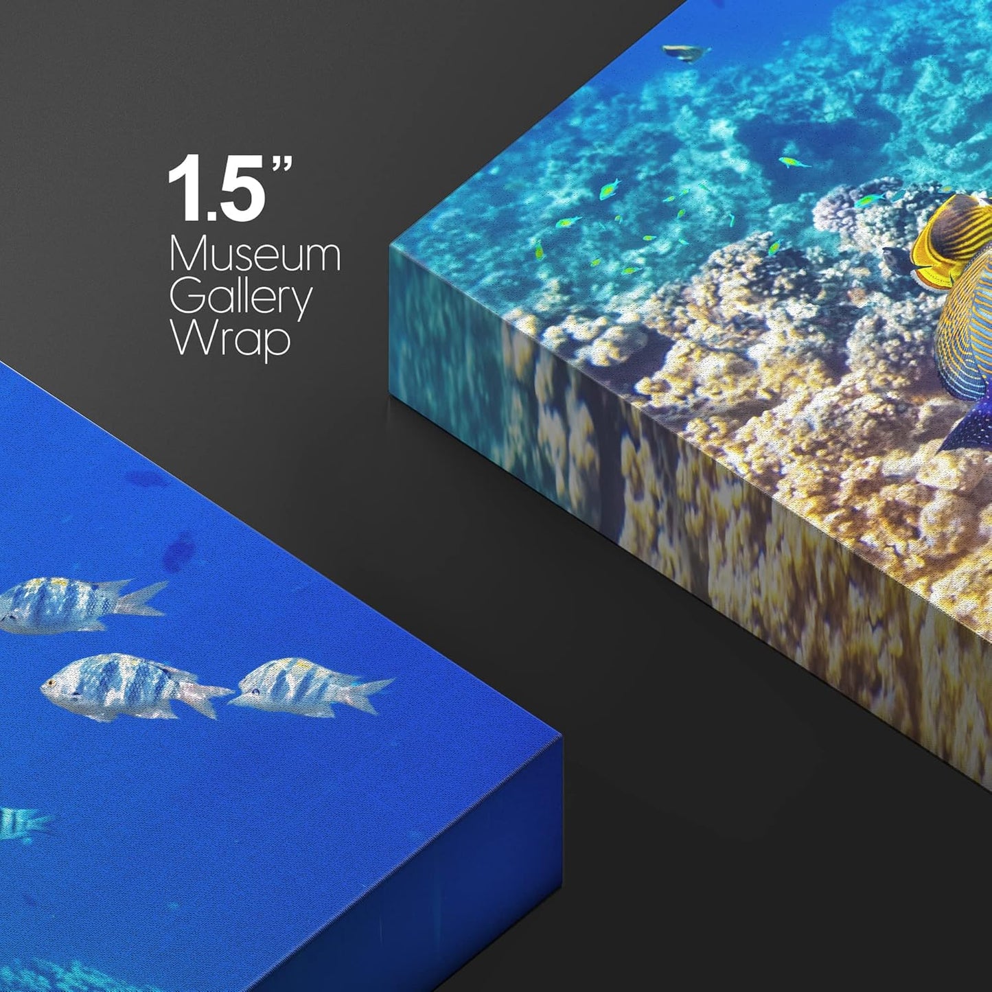 wall26 Canvas Print Wall Art Underwater Neon Blue Teal Ocean Water Fish Nature Animals Photography Realism Rustic Scenic Landscape Wilderness Earth for Living Room, Bedroom, Office - 24"x36"