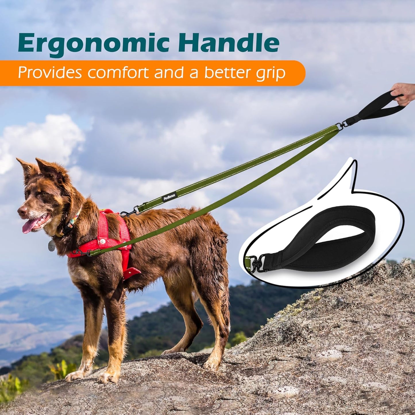 PetBonus Two Point Control Dog Leash, Works with No Pull Harnesses, No Tangle Dog Training Leashes, No Pull Padded and Reflective Walking Lead, Converts to Single Leash for Large Dogs (Khaki Green)