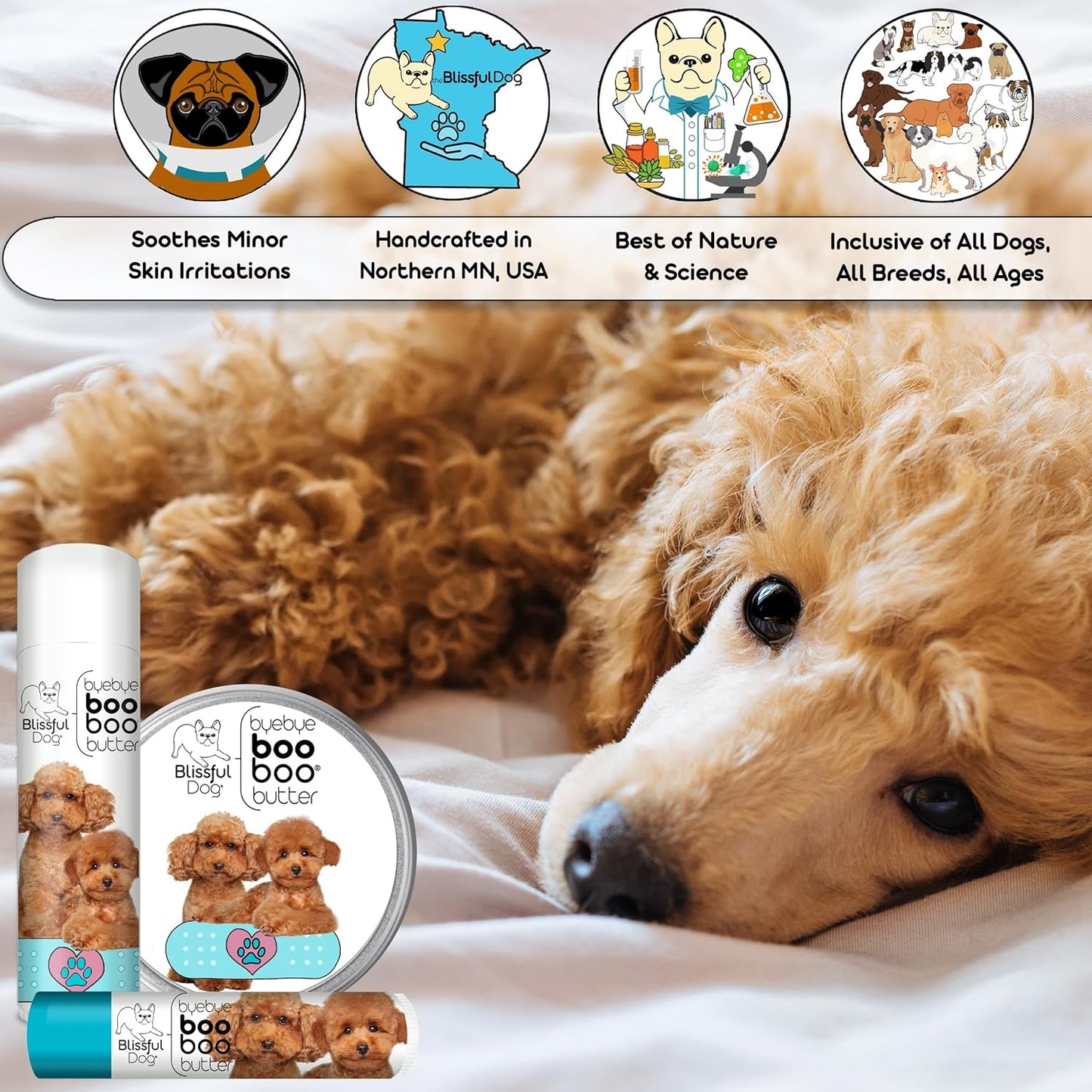 The Blissful Dog 2 oz TIN Poodle Booboo Butter