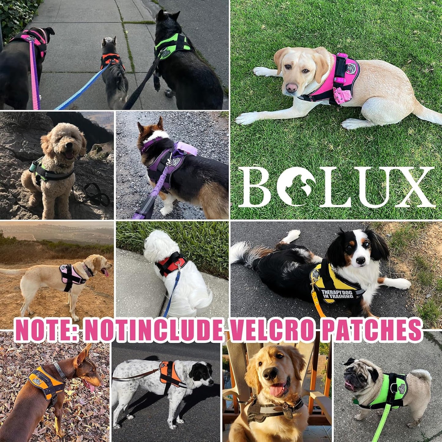 Bolux Dog Harness, No-Pull Reflective Dog Vest, Breathable Adjustable Pet Harness with Handle for Outdoor Walking - No More Pulling, Tugging or Choking (Fuchsia, X-Small (Pack of 1))