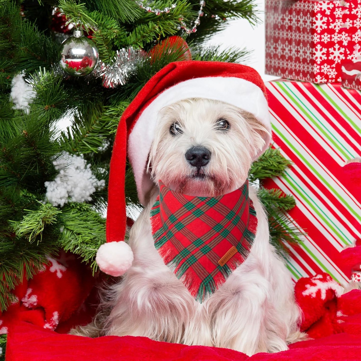 ADOGGYGO Christmas Dog Bandanas with Tassels, Red Green Plaid Pet Xmas Scarf Bib, Multiple Sizes, Christmas Bandana for Small Dogs Puppies (Small)