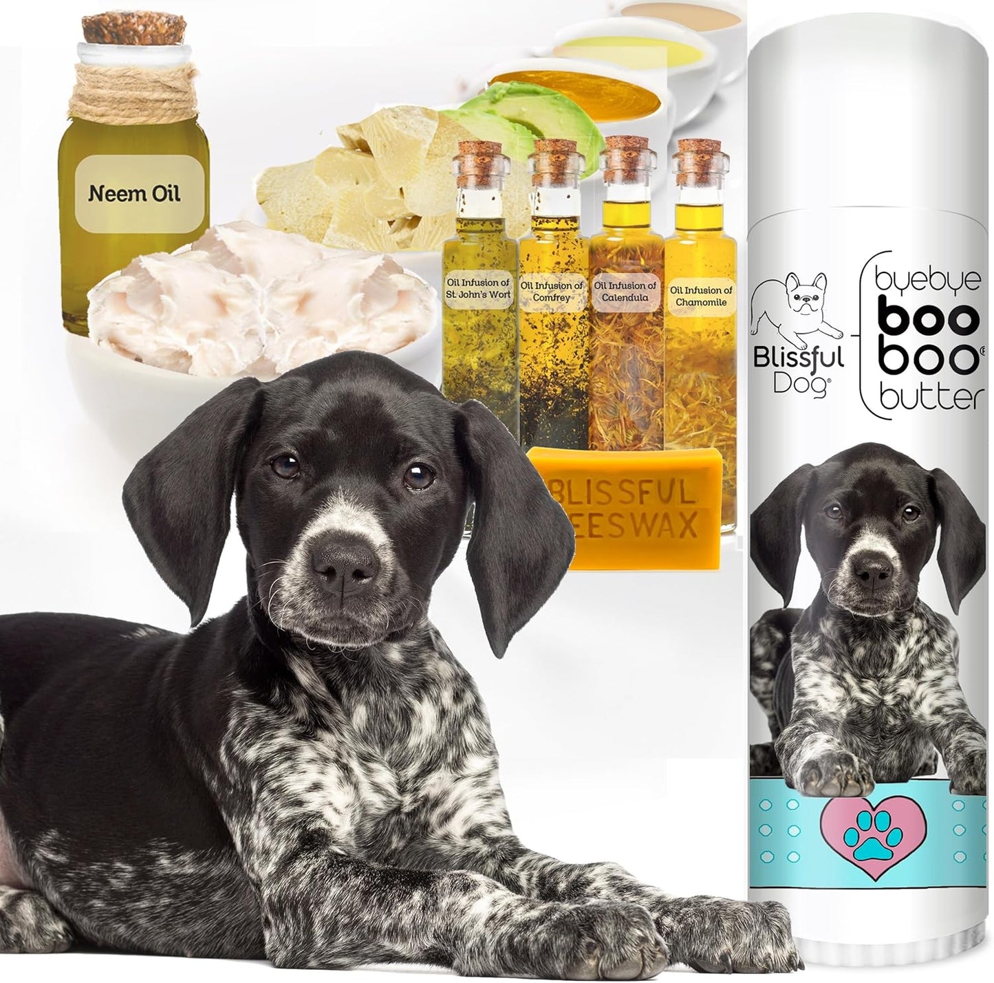 The Blissful Dog .50 oz Tube German Shorthaired Pointer Booboo Butter