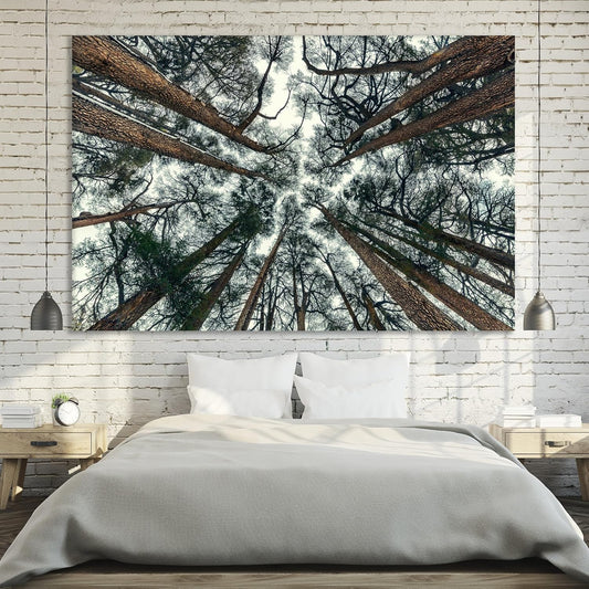 Nature Wall Art Prints - Ocean Forest Mountain Lake Canvas Landscapes - Small to Extra Large Living Room Bedroom Kitchen Bathroom Décor (Trees and Sky, 20L" x 30W")